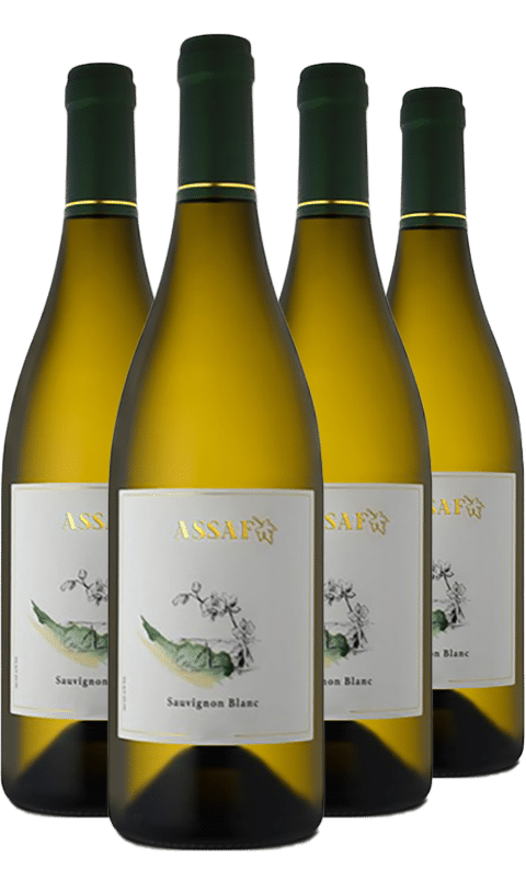 רביעיית אסף סובניון בלאן